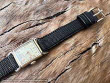 Load image into Gallery viewer, Hamilton 'Essex' Elongated Lugs Drivers Model, Manual, 21x41.5mm