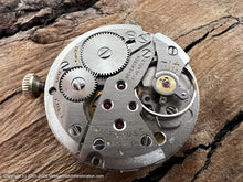 Load image into Gallery viewer, Wittnauer Textured Golden Oval Dial with Fish Scale Design Bracelet, Manual, 28x23.5mm