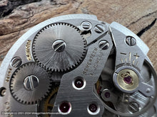 Load image into Gallery viewer, Wittnauer Textured Golden Oval Dial with Fish Scale Design Bracelet, Manual, 28x23.5mm