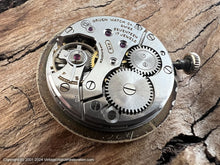 Load image into Gallery viewer, Gruen Precision Bold Oval Case Stellar Dial, Shark Strap, Manual, 34x38mm