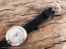 Load image into Gallery viewer, Gruen Precision Bold Oval Case Stellar Dial, Shark Strap, Manual, 34x38mm