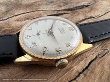 Load image into Gallery viewer, Orgus Oyster Pie Pan Dial with Decorative Bezel Edge, Manual, 31mm