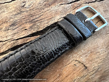 Load image into Gallery viewer, West End Watch 'Lowan' Prima Two-Tone Black & Gold Dial with Date, Automatic, Large 34x43mm