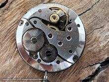 Load image into Gallery viewer, Wittnauer Sixties Silver Floral Pattern Dial with Original Box, Manual, 32.5mm