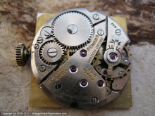 Load image into Gallery viewer, Square Benrus Silver Gothic Deco Dial, Manual, 26x38mm