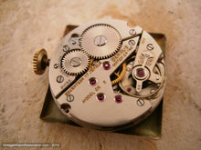 Load image into Gallery viewer, Rare Square Benrus Day/Date Gem, Manual, 26x26mm