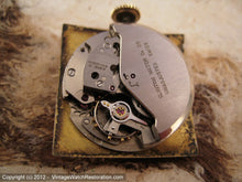 Load image into Gallery viewer, Sunburst Clinton 21 Square Dial Gem, Automatic, 26x36.5mm