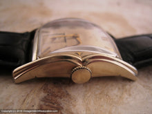 Load image into Gallery viewer, Elgin 19 Original Dial in Winged Case, Manual, 38x27mm
