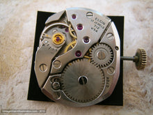 Load image into Gallery viewer, Mint Square Black/Gold Elgin with Matching Bezel and Bracelet, Manual, 28x36mm