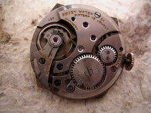 Load image into Gallery viewer, Gruen 'Veri-Thin' Tonneau Case with Horned Lugs, Manual, 28x29.5mm