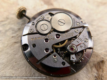 Load image into Gallery viewer, Hamilton in Impressive Curved Lug Case, Manual, 32mm