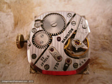 Load image into Gallery viewer, Hamilton 'Kennett’ 2-Tone Gem with Raised Numbers, Manual, 23.5x38mm
