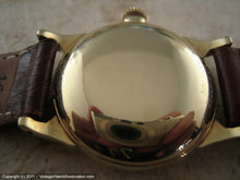 Load image into Gallery viewer, Hamilton 'cld' in Gem Case, Manual, 29.5mm