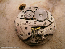 Load image into Gallery viewer, Mint NOS Helbros Tonneau Square in Original Box, Manual, 28x37mm