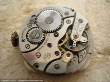 Load image into Gallery viewer, Orvin Incabloc Deco Case with Original Box, Manual, 28x37mm