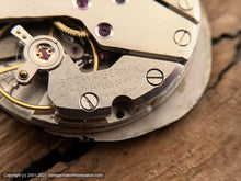 Load image into Gallery viewer, Stowa 'Swank' Tiger Eye-Mahogany Dial in an Oval Case, Manual, 34mm