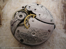 Load image into Gallery viewer, Early Perfect Porcelain Dial Waltham in Stunning Case, Manual, 30x40mm