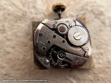 Load image into Gallery viewer, Wittnauer Minty in Rare Trapezoid Case, Manual, 22x27.5mm