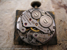 Load image into Gallery viewer, Zodiac Hermetic Bronze-Brown Dial in Decorative Case (OC), Manual, 25x36mm