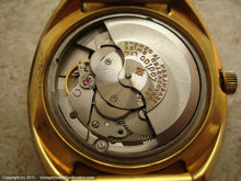 Load image into Gallery viewer, Rare Zodiac with Petrified Wood Dial, Automatic, 36x37.5mm