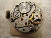 Load image into Gallery viewer, Rare Rectangular Zodiac with Original Box, Manual, 22.5x39.5mm