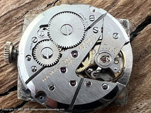 Load image into Gallery viewer, Hamilton 'Gary' TV Shape Fifties Splendor, Manual, 28x23mm
