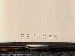 Bulova Large Decorative Tonneau Case and Scripty Numerals and Shark Strap , Manual, 25.5x39mm