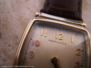 Hamilton 'cld' Brandon with Rare OEM Glass Crystal with Gasket , Manual, 25x43mm