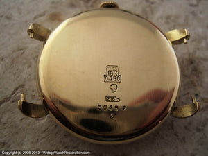 Helvetia 18K Gold with Splendid Dial, Manual, 33.5mm