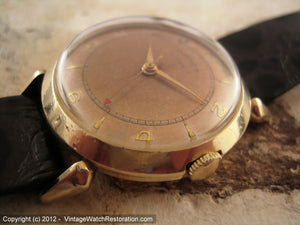 Illinois Automatic Wonderful Dial Patina with Bubble Back Case, Automatic, 32.5mm