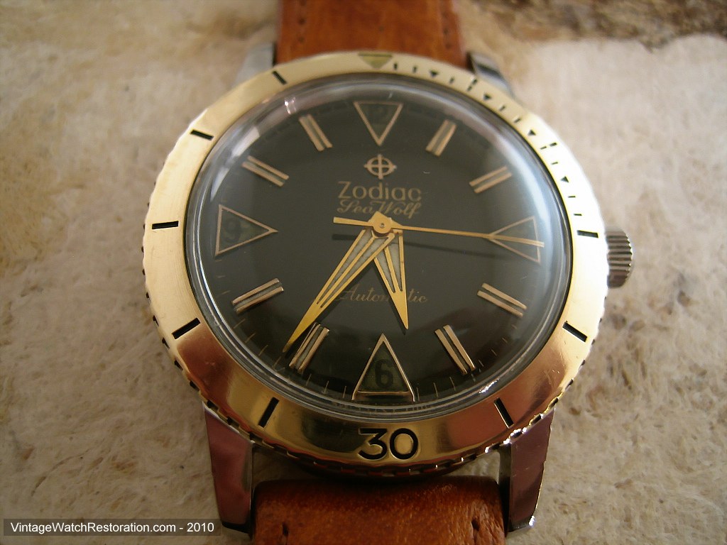 Black Dial Zodiac Sea Wolf with Gold Bezel, Automatic, Very Large 35.5mm
